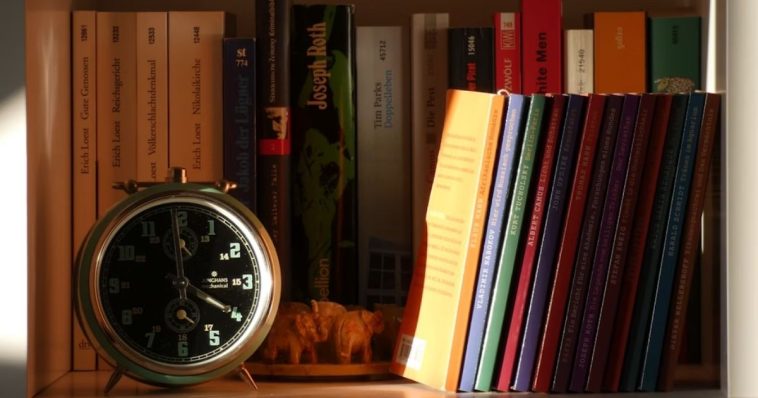 Powerful Lessons from Time-Loop Journals in 2025