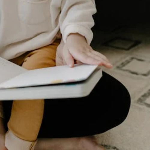 Top 14 Toddler Books: Perfect Picks for Fun & Early Learning